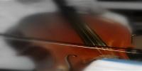 Cello